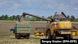 A combine harvester collects wheat in a field in Ukraine's Kharkiv region in July.