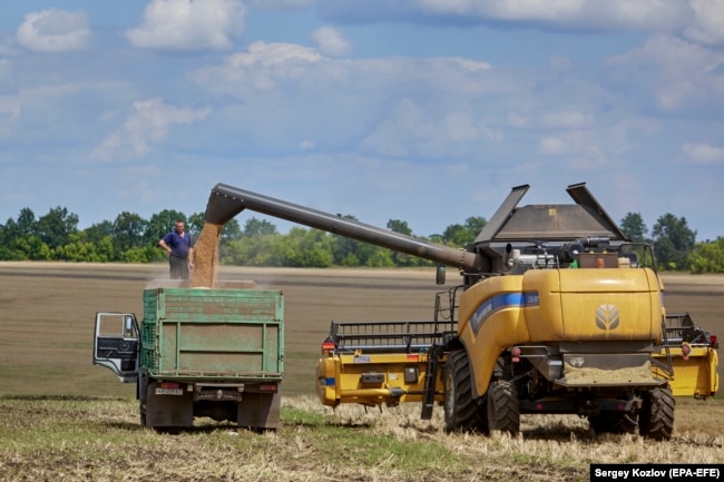 Një autokombajnë gjatë procesit të korrjes së grurit, shkarkon drithin direkt në një kamion pranë Harkivit më 30 korrik.