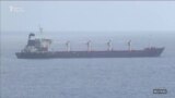Украина: дан жүктөгөн алгачкы кеме Түркияга жетти 