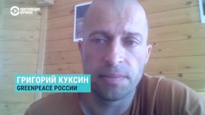 Представитель Greenpeace о лесных пожарах в России