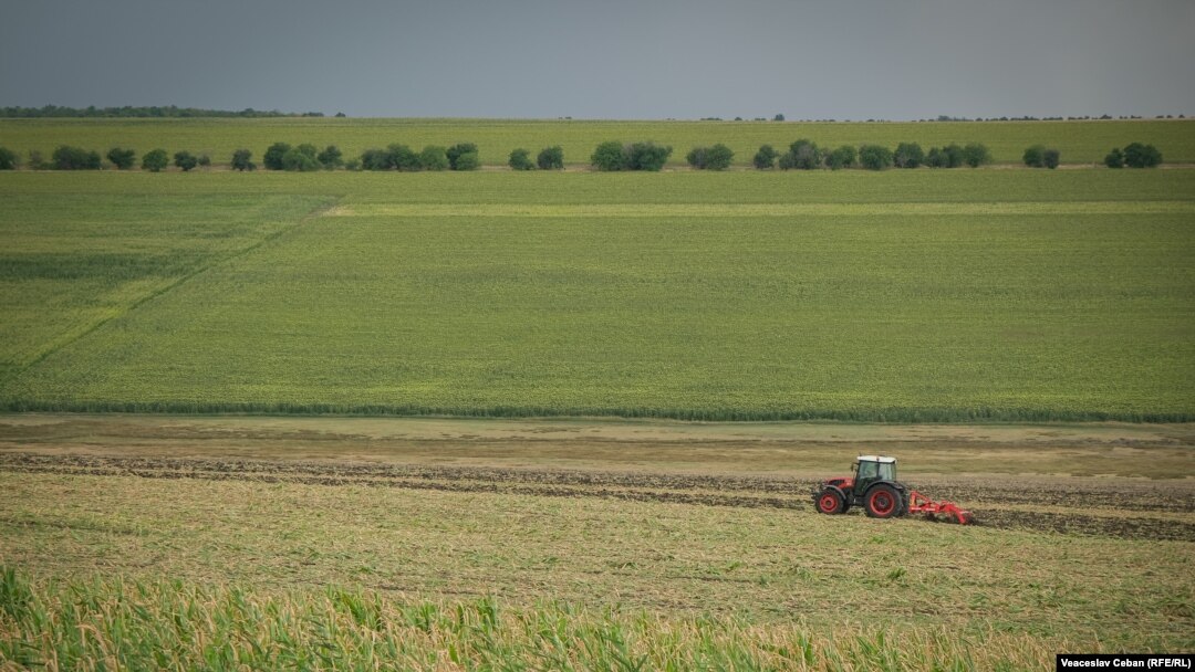 Director de la ADS, arestat pentru o mită de 350.000 de euro. Ilustrație din arhiva RFE/RL - teren agricol.