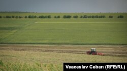 Director de la ADS, arestat pentru o mită de 350.000 de euro. Ilustrație din arhiva RFE/RL - teren agricol.