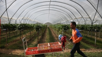 Үлкен орыс сиськимен блять