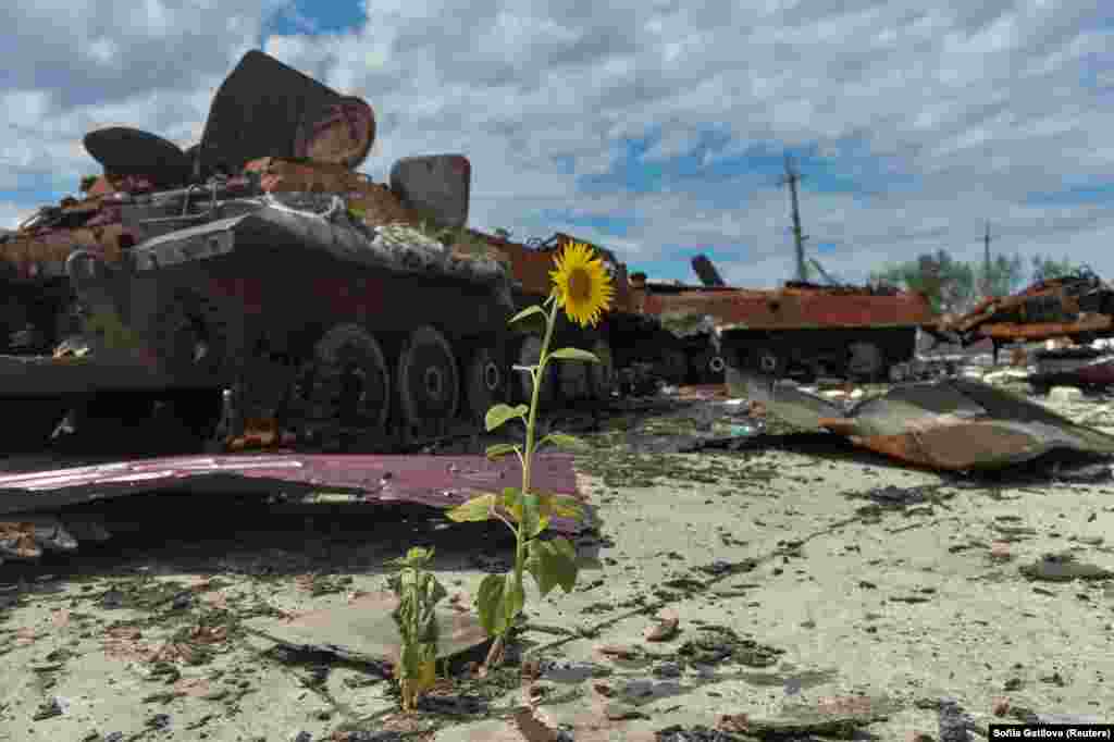 Automjete ushtarake ruse të shkatërruara shihen në një fermë në rajonin e Harkivit, në Ukrainë, e cila u përdor si bazë ushtarake gjatë pushtimit rus.