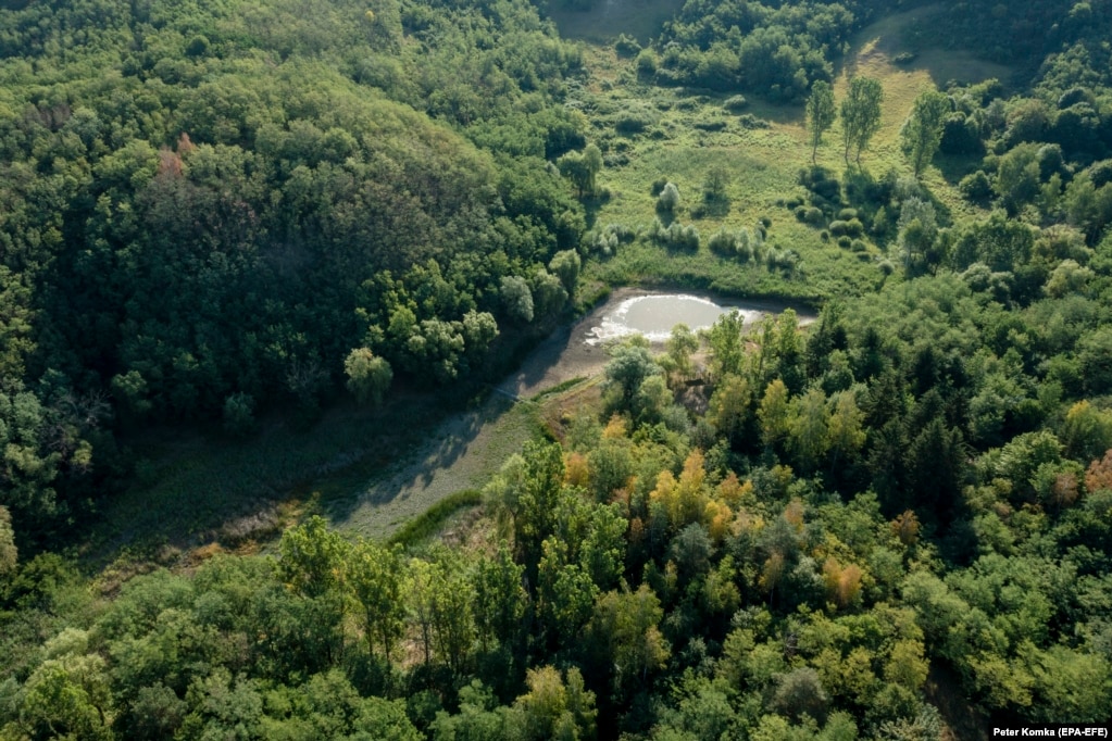 Fotografi që tregon një pellg të vogël uji që ka mbetur në liqenin e peshkimit Halda, në veriun e Hungarisë, më 20 korrik.