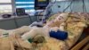 'Burns Cover 40 Percent Of His Body': Young Boy Survives Russian Attack That Killed His Mother GRAB