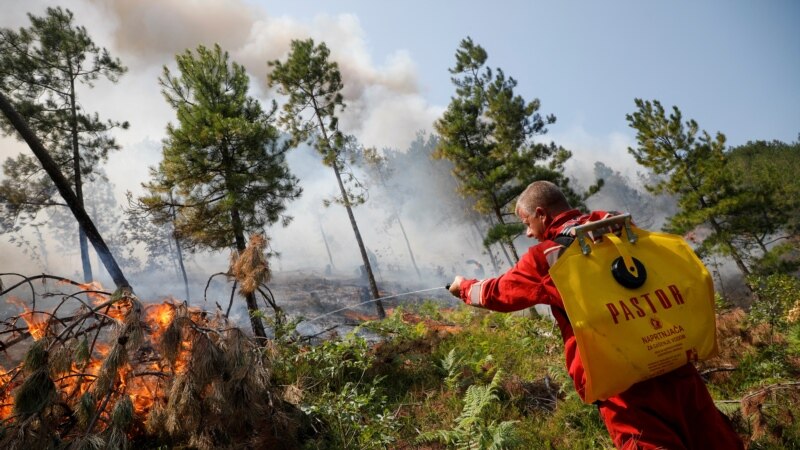 Zjarrfikësit e Shqipërisë në luftë disaditore me zjarret