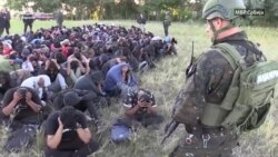 Полициски акции и огради за мигрантите во Србија