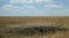 Насідки удару в полі на Харківщині, ілюстраційне фото, 2022 рік