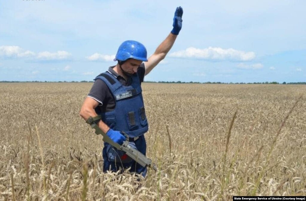 Një ushtar përgjegjës për pastrimin e minave kontrollon një arë me grurë nëse ka mina, në rajonin e Çernihivit më 29 korrik.