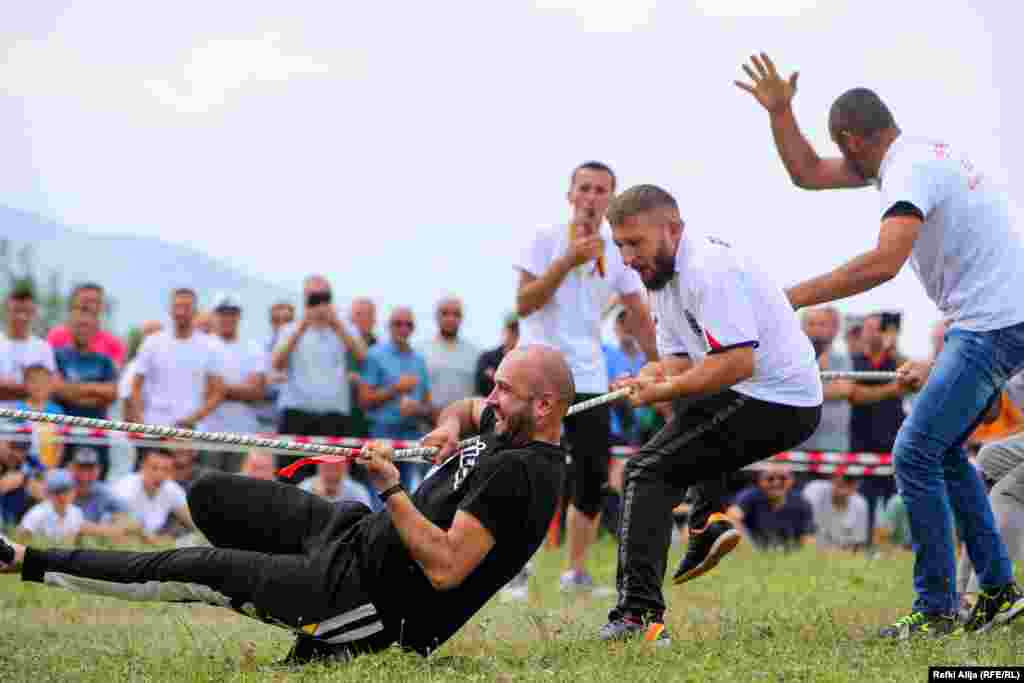 Disa burra sfidojnë veten në garën e tërheqjes me litar.