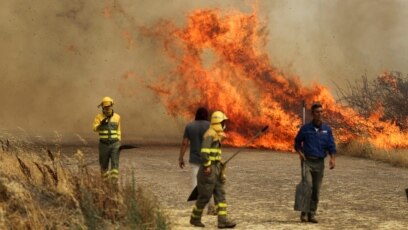"Apokalips i të nxehtit": Zjarret e egra përcëllojnë Evropën
