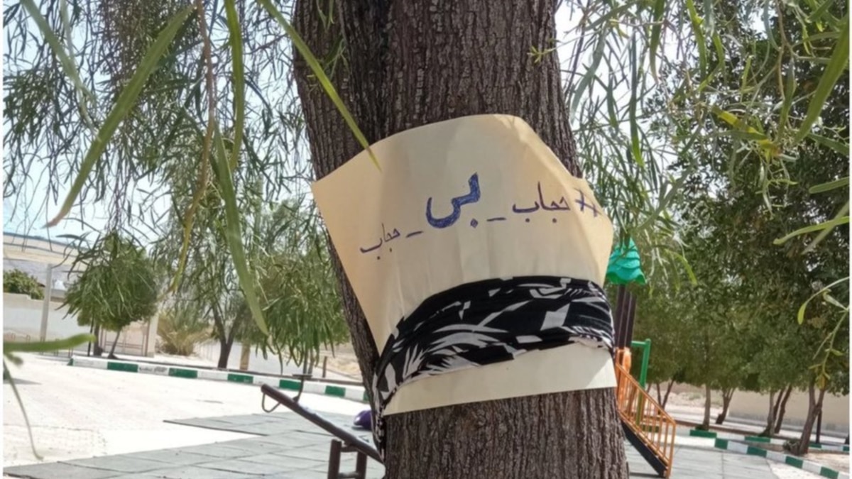 Women Protest Iran's Hijab And Chastity Day By Removing Their Veils In  Public