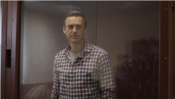 "То, что вы задумали, у вас не получится". Последнее слово Навального по делу о клевете