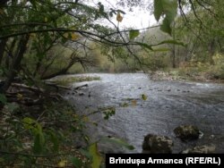 Deși este un râu turbulent , există zone unde Nera curge calm și liniștit.