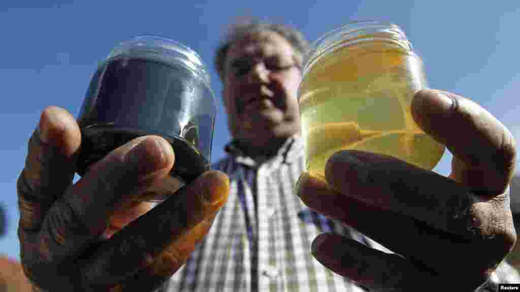 French beekeeper Andre Frieh holds a normal sample of honey (right) besides a green-colored one at his home in Ribeauville on October 5. Bees in northeastern France have been producing honey in mysterious shades of blue and green, alarming their keepers, who now point to residue from containers of M&M's candy processed at a nearby plant as the cause. (REUTERS/Vincent Kessler)
