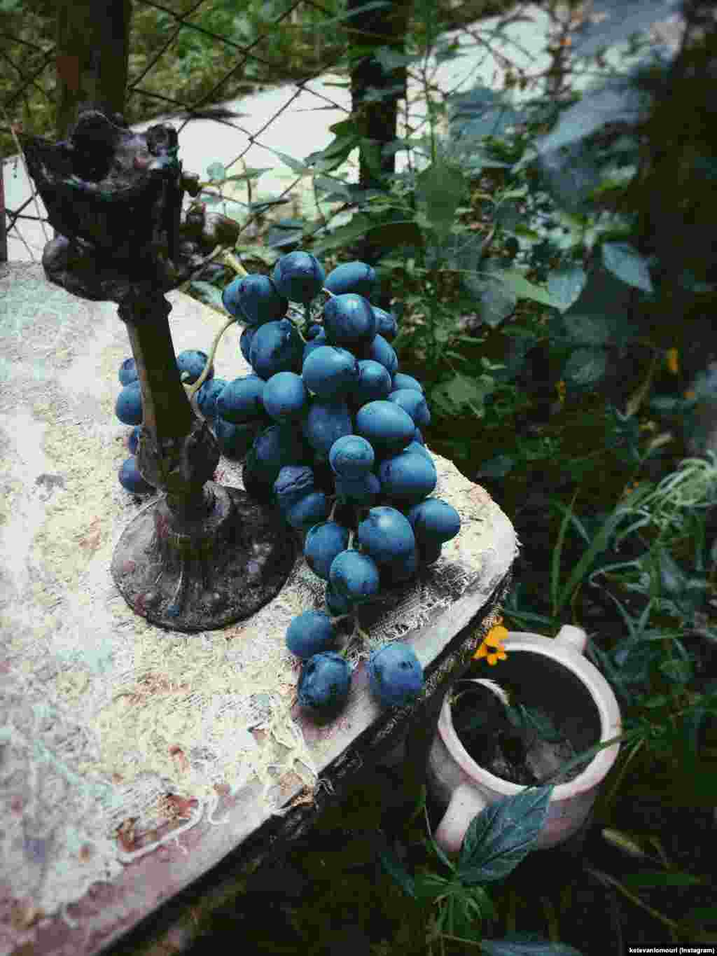 ketevanlomouri-ის სხვა ფოტოები ნახეთ მის ინსტაგრამის არხზე