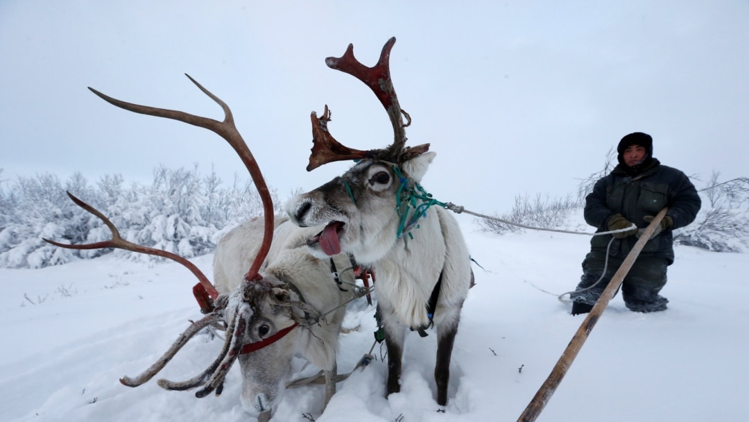 Төменде бұрғысы бар адам бар мұнараның фотосы.