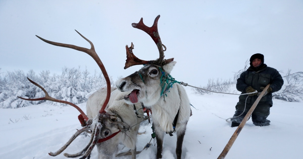 Порно мультфильм: Есейген ханшайым