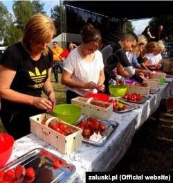 Фестиваль полуниці у Залускі