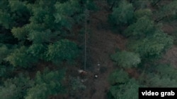 Кегети капчыгайындагы токой