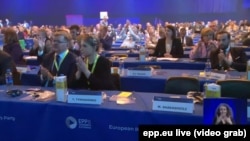 На конгресc ЕНП был приглашен Михаил Саакашвили и для него было выделено место