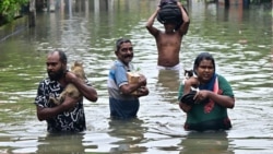 Жители Коломбо, полузатопленной столицы Шри-Ланки, спасают домашних животных и остатки имущества. 29 ноября 2025 года