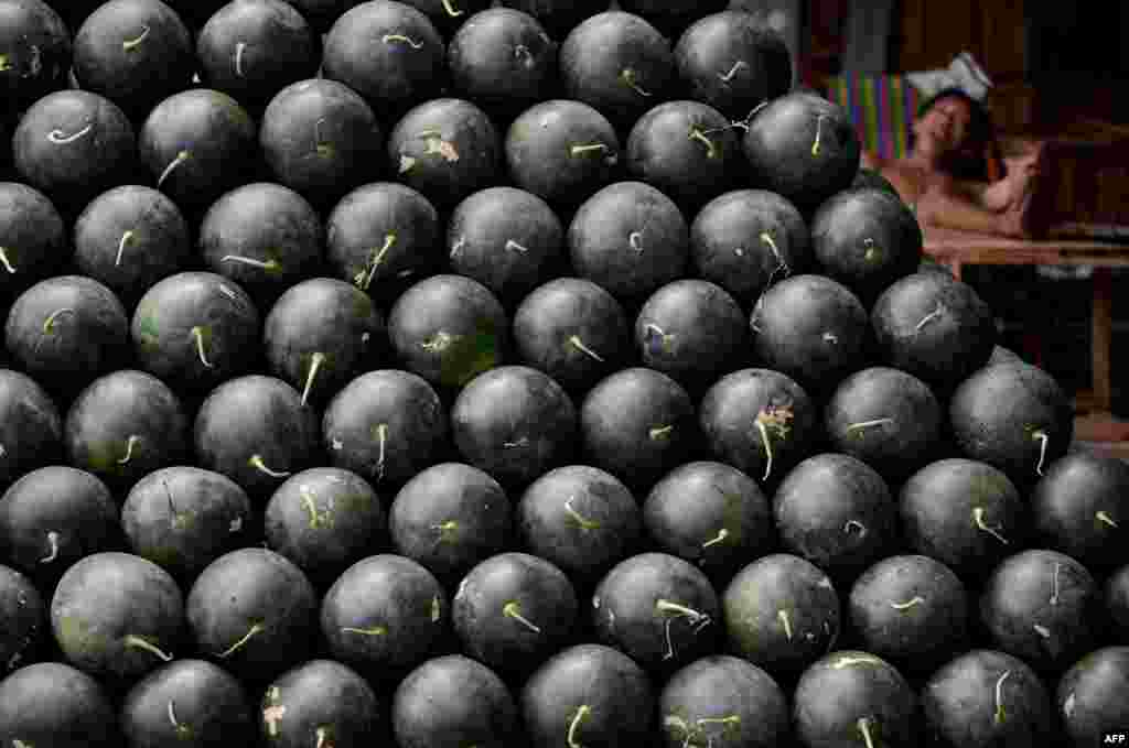 A worker sleeps near watermelons arranged like pyramids at a market in Manila. Filipinos believe that displaying 12 different round-shaped fruits -- one representing each month of the year -- at home before New Year&#39;s Day welcomes prosperity. (AFP/Noel Celis)&nbsp;