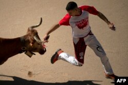 "Rekortador" učestvuje u nacionalnom takmičenju "rekortadora sa prstenovima" - skakača preko bikova koji imaju za cilj da stave prstenove na rogove junice - u okviru festivala San Fermin u Pamploni, na sjeveru Španije, 13. jula 2025.