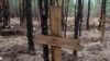 15 вересня на Харківщині біля звільненого Ізюма виявили масове поховання