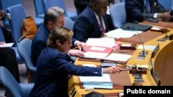 نیکولا دوریویر، نمایندهٔ دایمی فرانسه در سازمان ملل متحد در نشست شورای امنیت