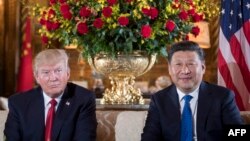 U.S. President Donald Trump (left) and Chinese President Xi Jinping during a bilateral meeting at Trump's Mar-a-Lago estate in Florida on April 6.