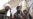 Afghanistan Says Thousands Of Rebels Have Disarmed