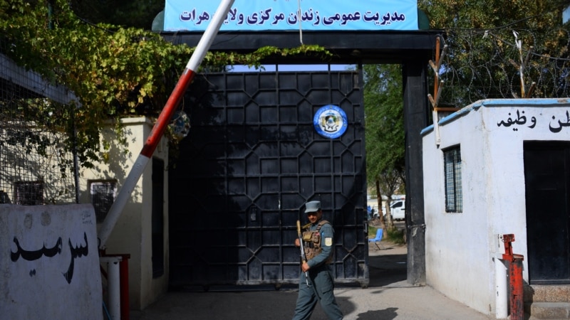 Над 400 членови на Исламска држава од 14 земји се во затвор во Авганистан