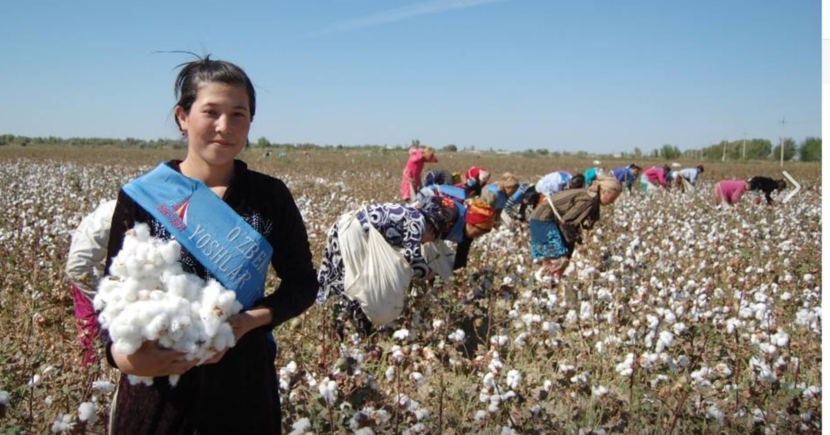 Фото гола пихва