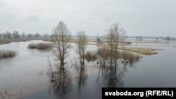 На Прыпяці