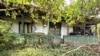 Romania comuna Ciocarlia, judet Ialomita, casa parasita