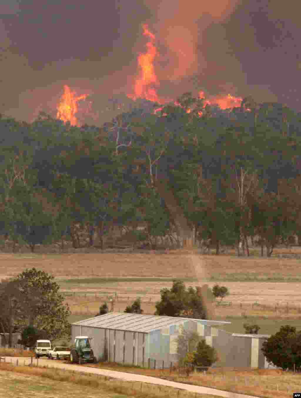 Australija -- Razarajući požari - Širom jugoistoka Australije vatrogasci i dobrovoljci se bore sa velikim požarima,koji ugrožavaju i gradove. Meteorolozi upozoravaju na rekordne temperature do 47 stepeni Celzijusa, uz vjetar. 65 osoba izgubilo je život,prema podacima policije iz države Viktorija,koja je i najteže pogodjena ovom nacionalnom katastrofom. 
