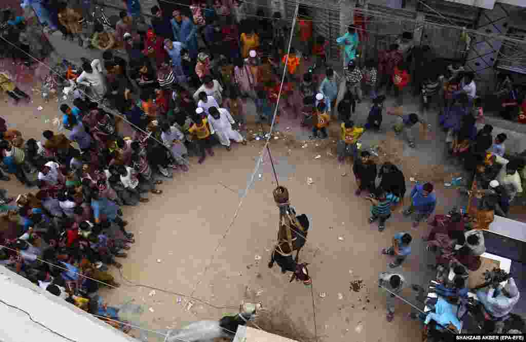 Crowds gather to watch animals being moved to a rooftop in Karachi.