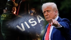Trump collage/коллаж, виза