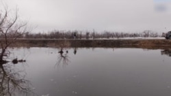«Вода распространяется через поле». Под Астаной прорвало плотину