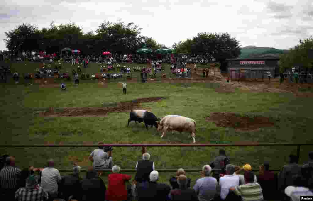 People watching a bullfight.