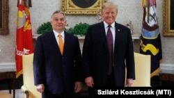 Then-President Donald Trump (right) with Hungarian Prime Minister Viktor Orban in the White House in 2019. 