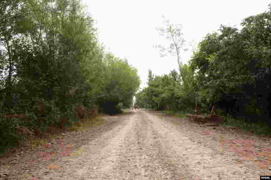 Sürgündə yaşayanlar #16