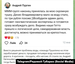 Пост павла Губарєва на підтримку Андрія Пургіна