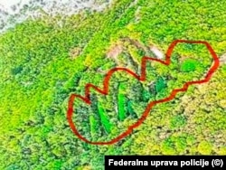 Plantaže kanabisa pornađene su na području Drežnice, 12. august 2026.