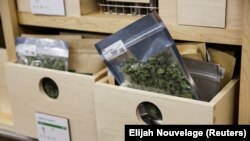Маріхуана на продаж в місті Гарборсайд в Каліфорнії 1 січня 2018 року, в перший день легалізації 
