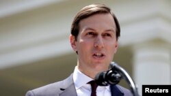 Кушнер Джаред, Трампан хьехамча