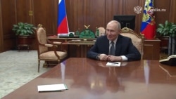 Владимир Путин и новые горшки с растениями в его рабочем кабинете в Кремле, 25 февраля 2026