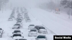 Иллюстратив фото